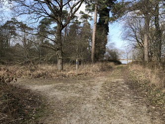 Fugletårn ved Gyldensteen Strand - Egensehytten