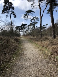 Fugletårn ved Gyldensteen Strand - Egensehytten