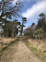 Fugletårn ved Gyldensteen Strand - Egensehytten