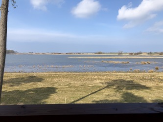 Fugletårn ved Gyldensteen Strand - Egensehytten