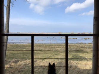 Fugletårn ved Gyldensteen Strand - Egensehytten