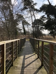 Fugletårn ved Gyldensteen Strand - Egensehytten