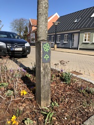 Kløversti i Søndersø - Grøn rute