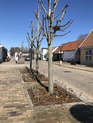 Kløversti i Søndersø - Grøn rute