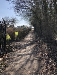 Kløversti i Søndersø - Grøn rute