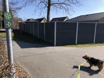 Kløversti i Søndersø - Grøn rute