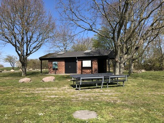 Fuglsang Strand - Picnic og aktivitetsområde