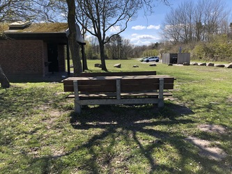 Fuglsang Strand - Picnic og aktivitetsområde