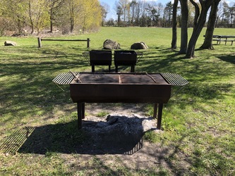 Fuglsang Strand - Picnic og aktivitetsområde