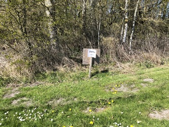 Fuglsang Strand - Shelter