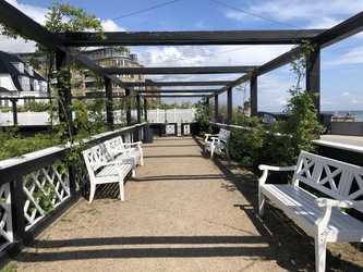 Hellerup Strandpark - Stauderhaven og Rosenhaven