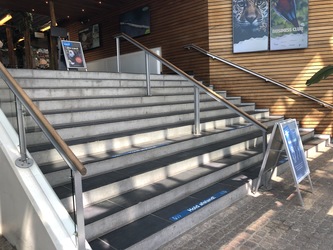 Randers Regnskov -   Indgang og Parkering