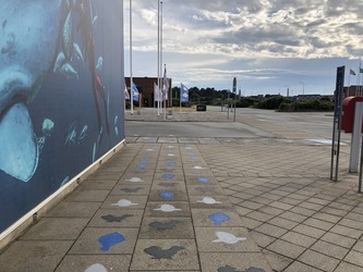 Nordsøen Oceanarium -  Udstillingen