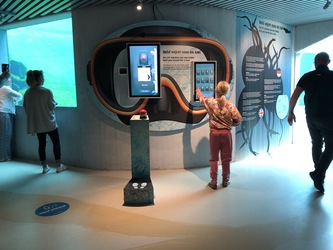 Nordsøen Oceanarium -  Udstillingen