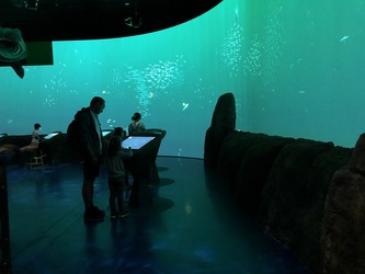 Nordsøen Oceanarium -  Udstillingen