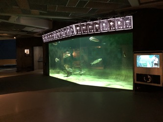 Nordsøen Oceanarium -  Udstillingen