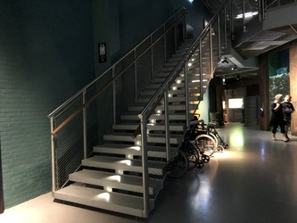Nordsøen Oceanarium -  Udstillingen