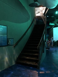 Nordsøen Oceanarium -  Udstillingen