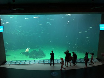 Nordsøen Oceanarium -  Udstillingen