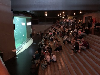 Nordsøen Oceanarium -  Udstillingen