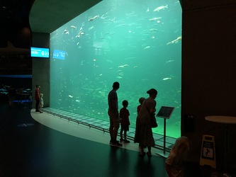 Nordsøen Oceanarium -  Udstillingen