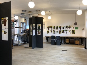 Økolariet - Ausstellung Niveau 1 und 2