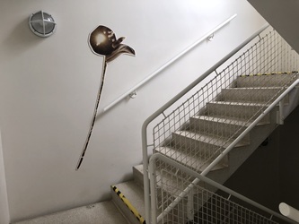 CAB - Center for Afklaring og Beskæftigelse