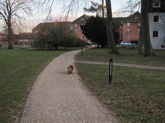 Ordrup Park